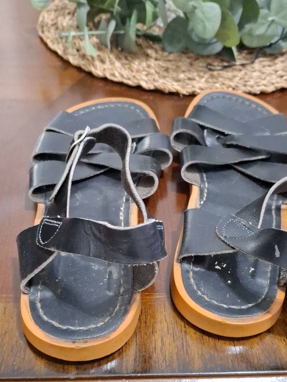 Salt Water Sandals by Hoy - Size 5 Classic Black